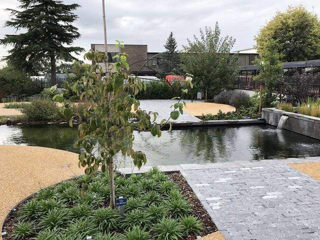 foto tuin Thomas More